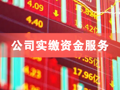 阳春公司实缴资金服务