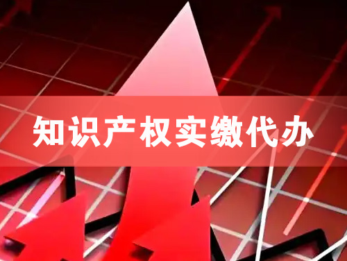 阳春知识产权实缴资本代办